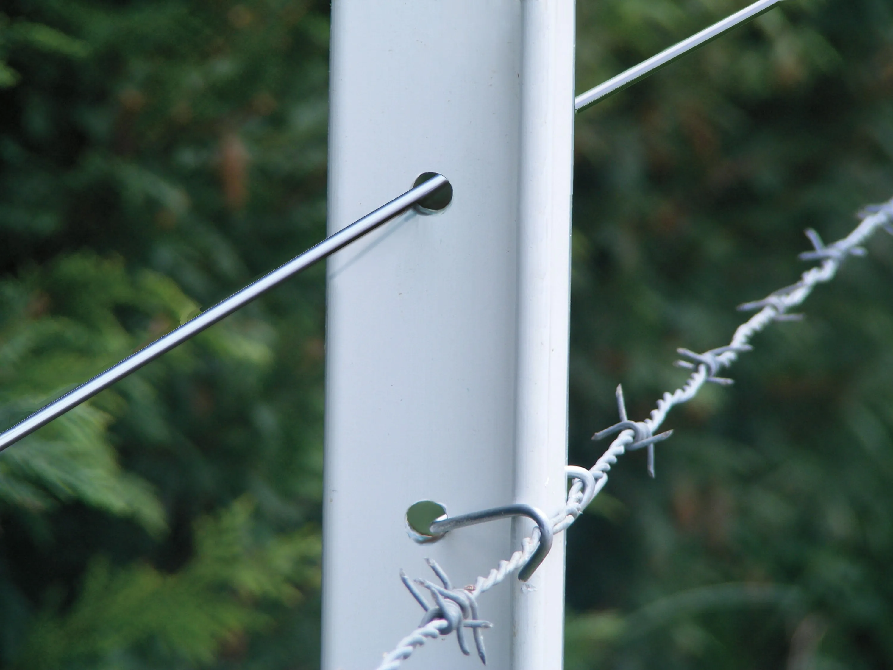 8' Poly T-Posts (1.75", or 2.125" Width) 15/Pack *  TYPICALLY SHIPS IN 1-2 WEEKS