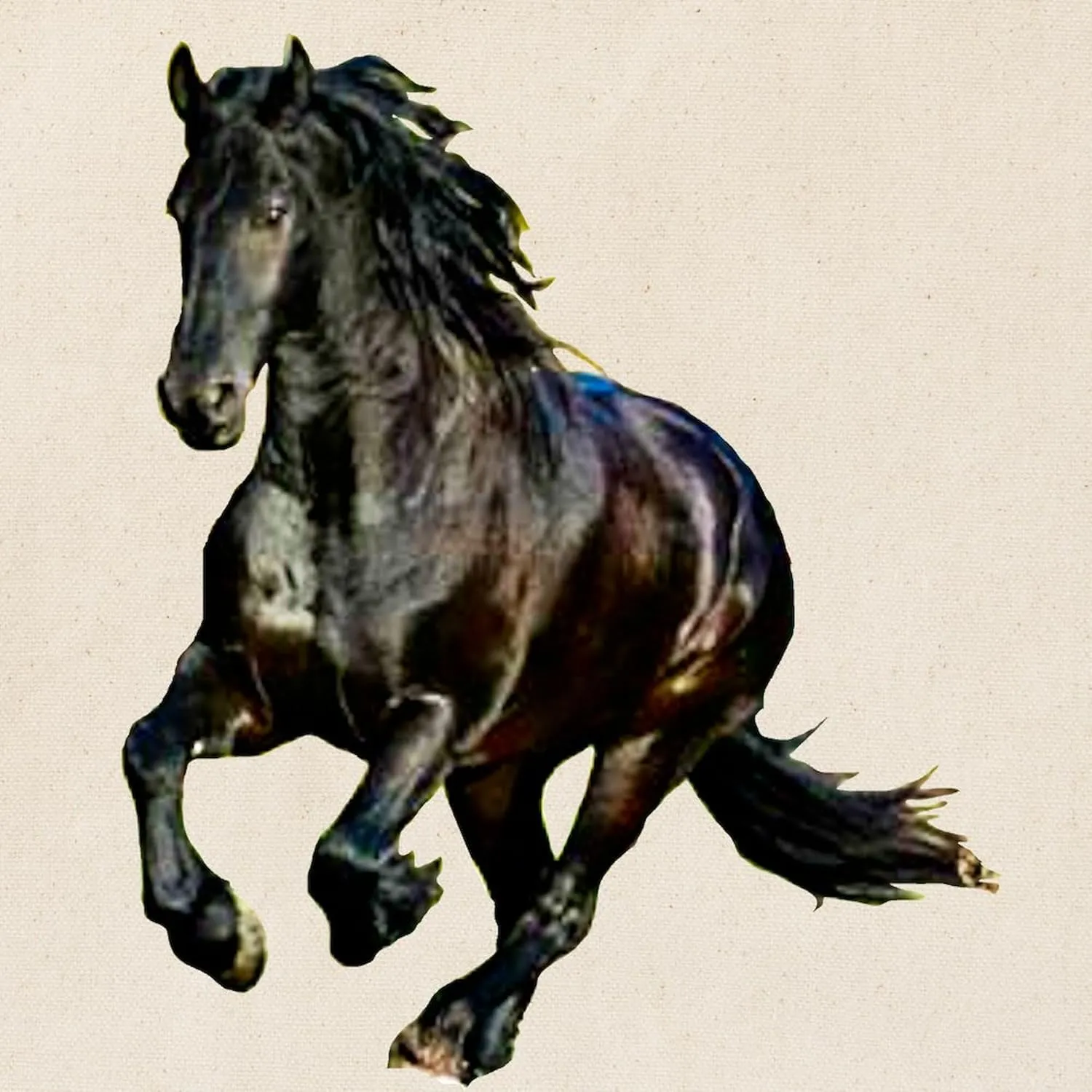 CafePress Black Stallion Horse Tote Bag Reusable Natural Beige Canvas Shopping Bag