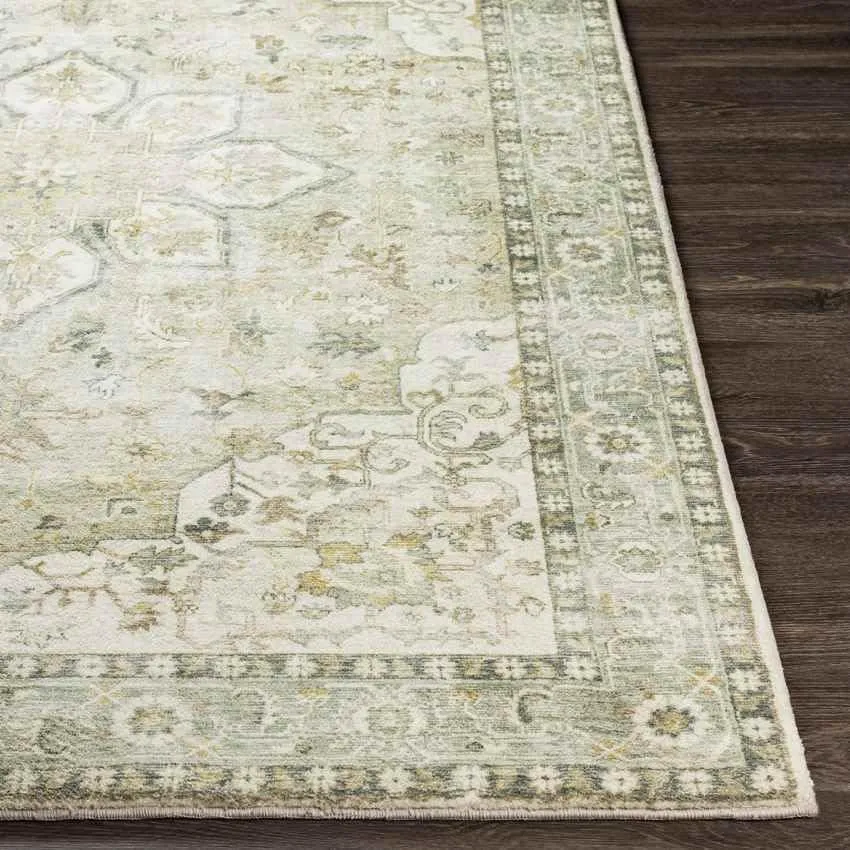 Heiereind Traditional Green Area Rug Carpet for Living Room Bedroom or Kitchen