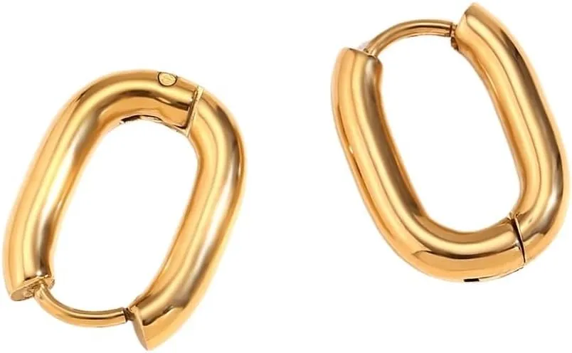 Mini O-Shaped Hoop Earrings for Women Gold Plated Stainless Steel Small Circle Ear Jewelry in Gold or Steel Tone